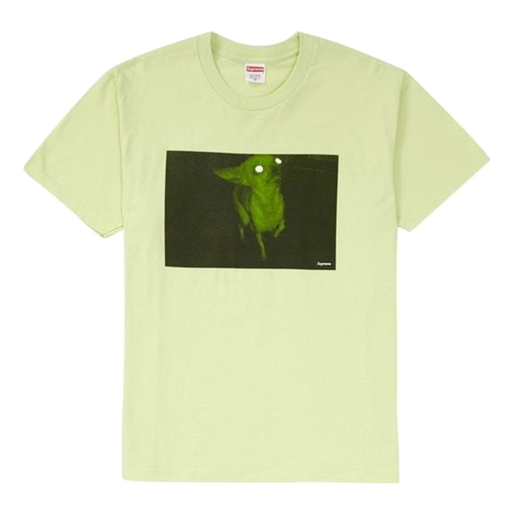 Supreme Chris Cunningham Chihuahua Tee - Pale Mint