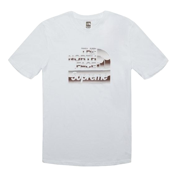 Supreme/ The North Face Metallic Logo T-Shirt - White