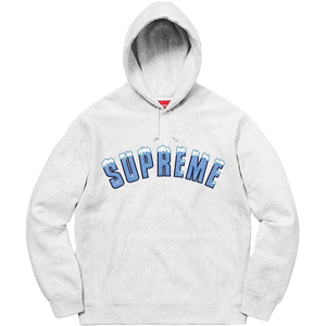 Supreme equivocal Icy Arc Hooded Sweatshirt