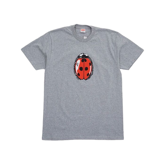 Supreme SS18 andwer Ladybug